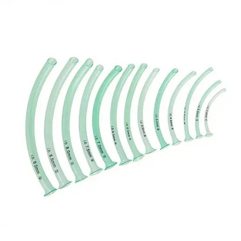 Đường thở mũi họng